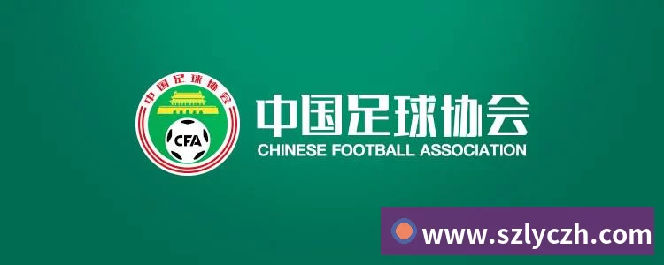 阿根廷与瑞士巅峰对决足球风格与战术碰撞全解析赛场悬念与荣耀之争